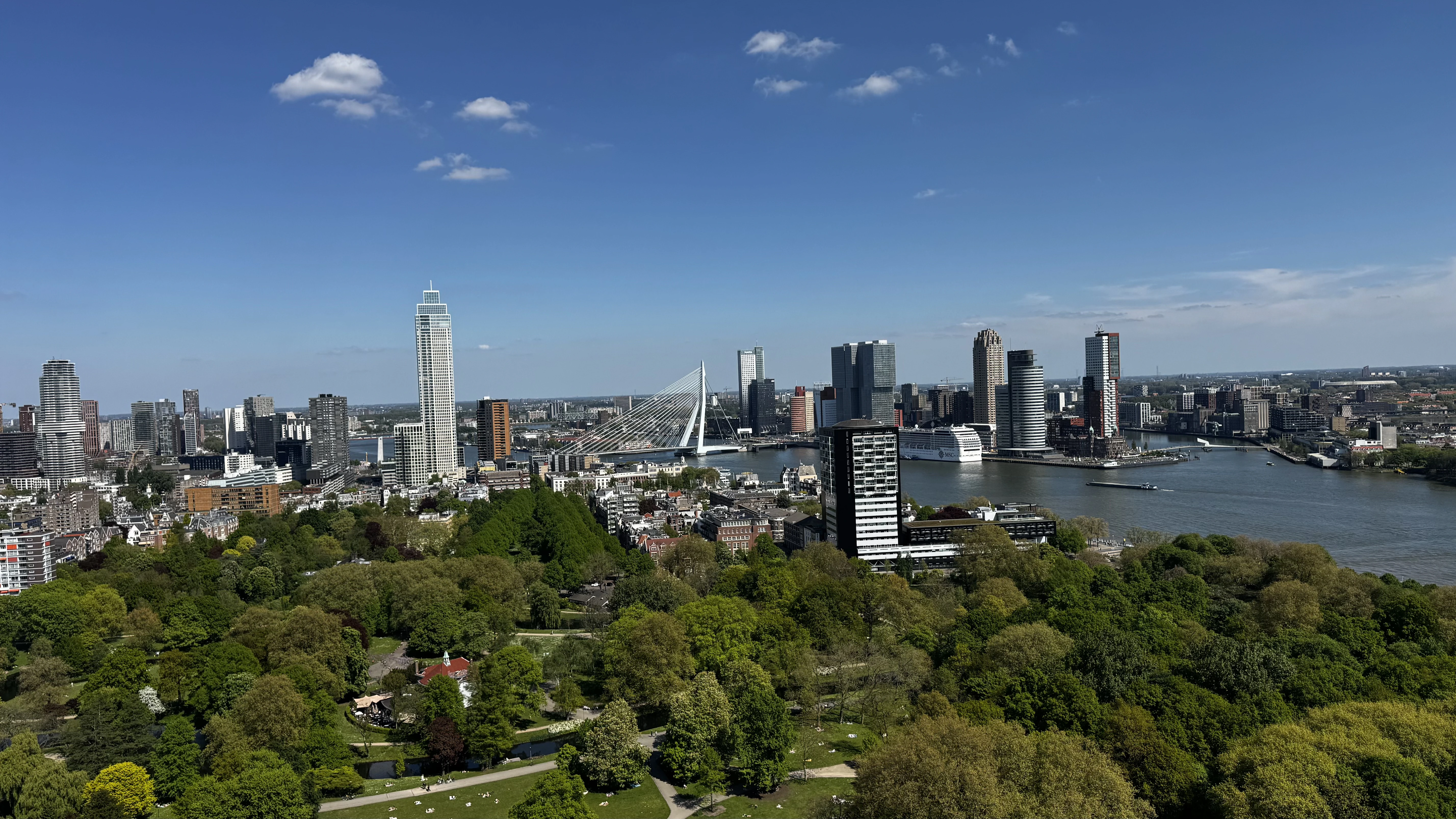 Rotterdam selfmade